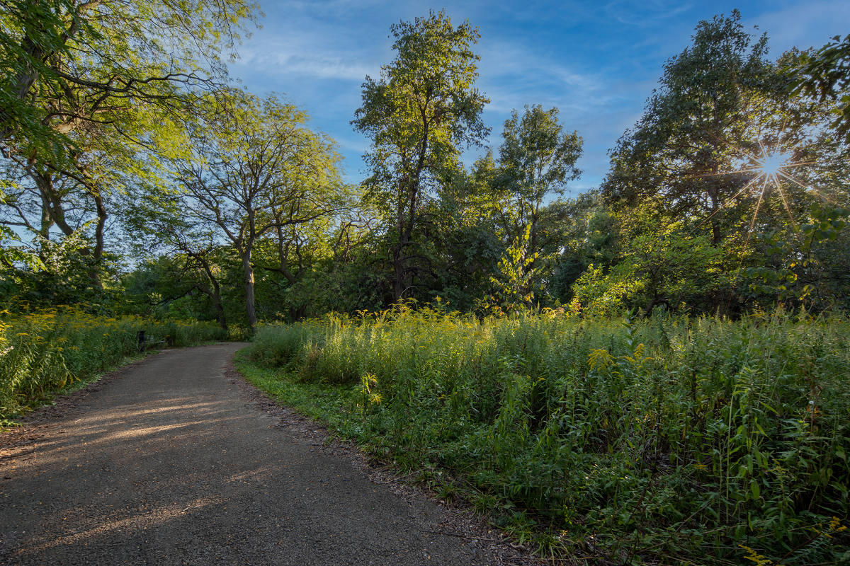 Burnham Nature Sanctuary